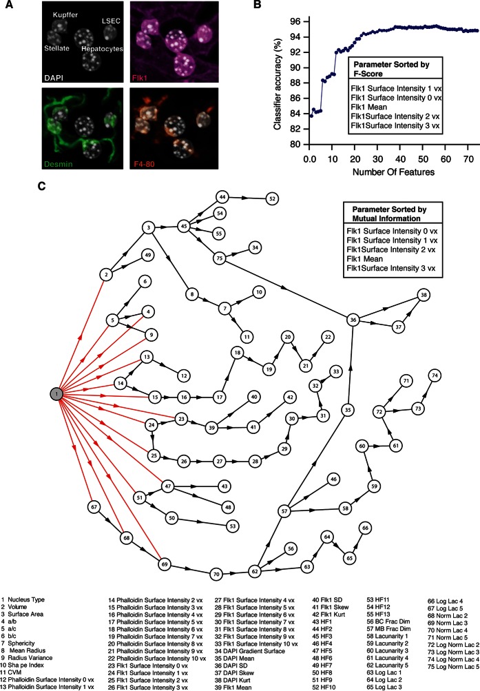 Figure 3—figure supplement 2.