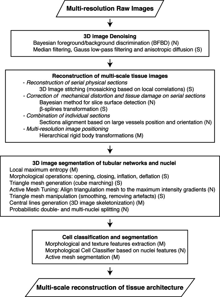 Figure 1—figure supplement 1.