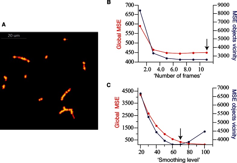 Figure 1—figure supplement 3.