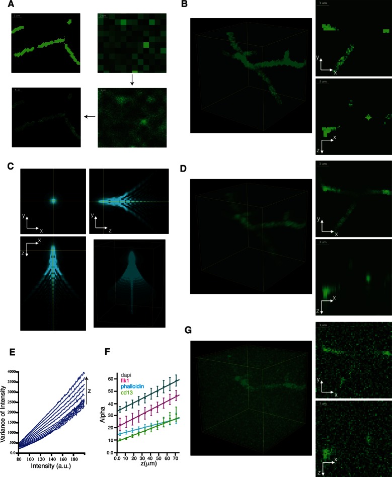 Figure 3—figure supplement 5.