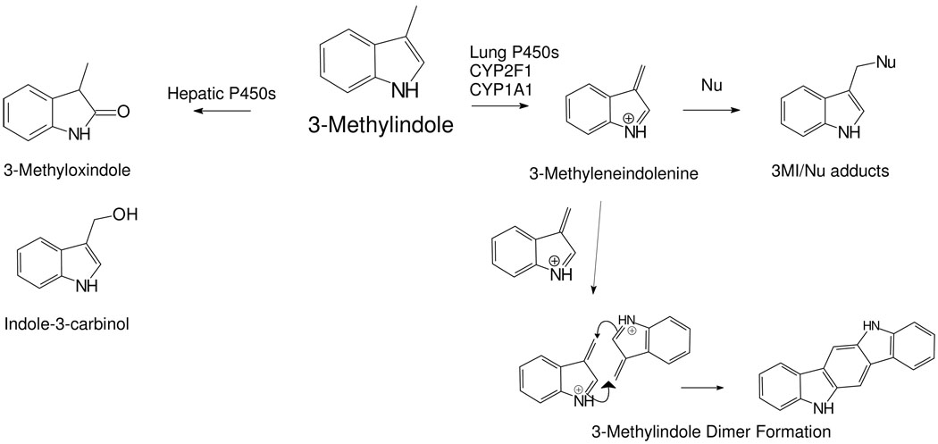 Scheme I