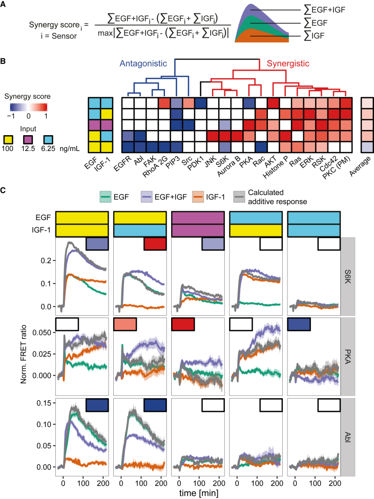 Figure 4