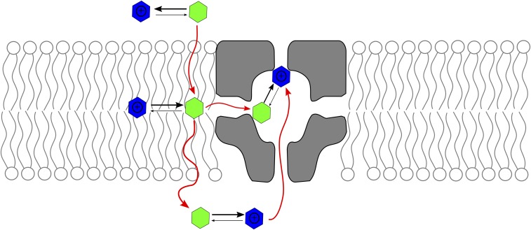 Fig. 1.