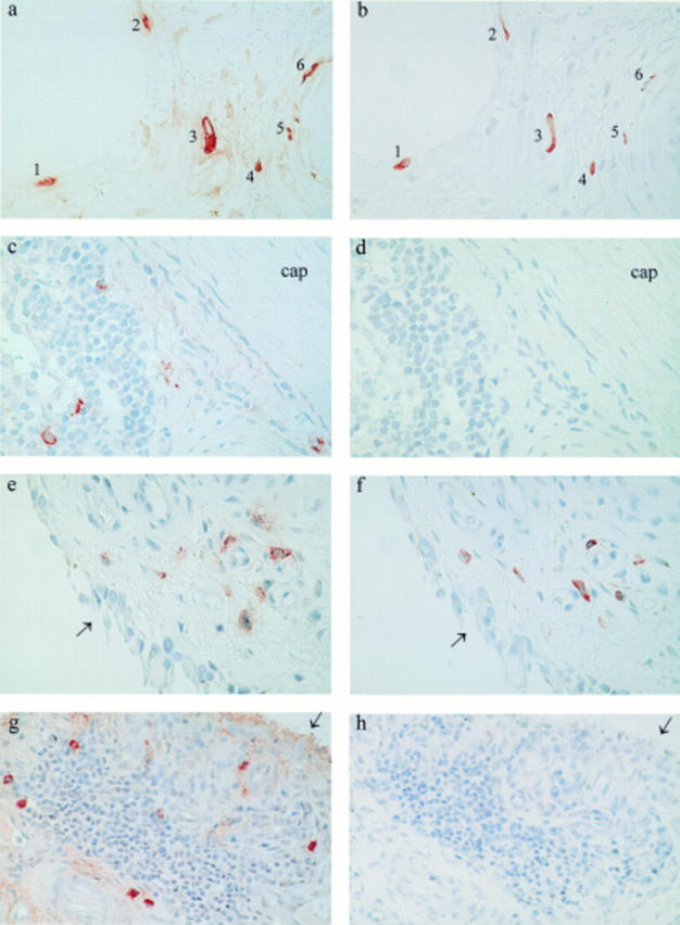 Figure 1  