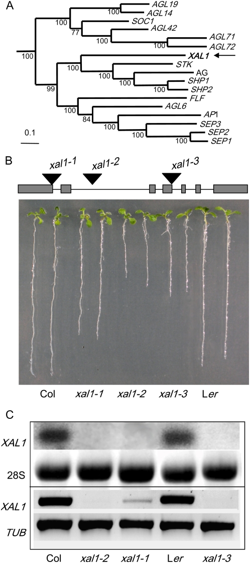 Figure 1.