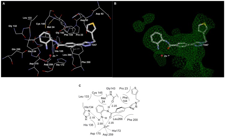 Figure 11