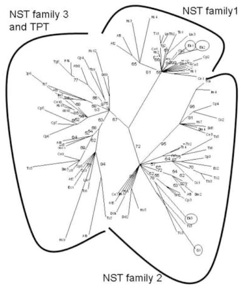 Fig. 5