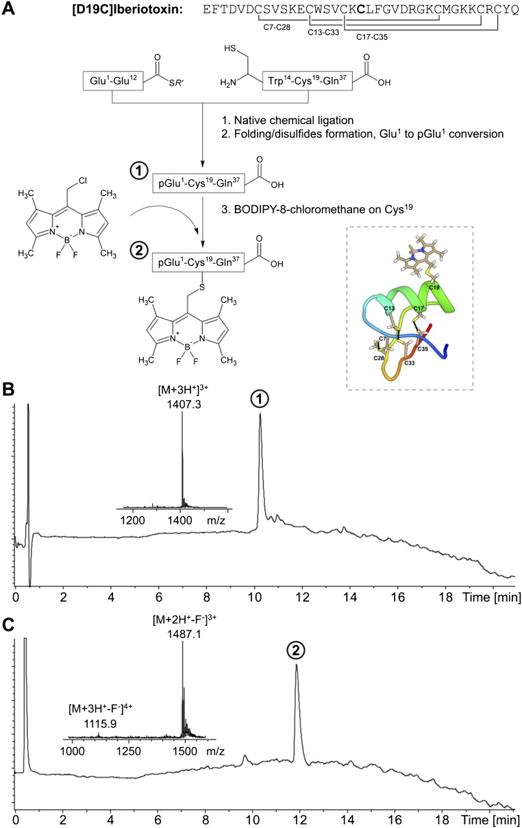 Fig. S5.