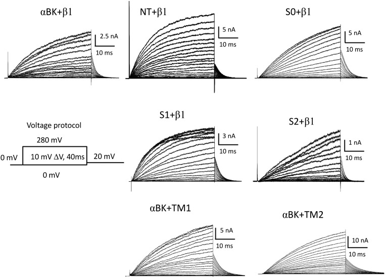 Fig. S2.