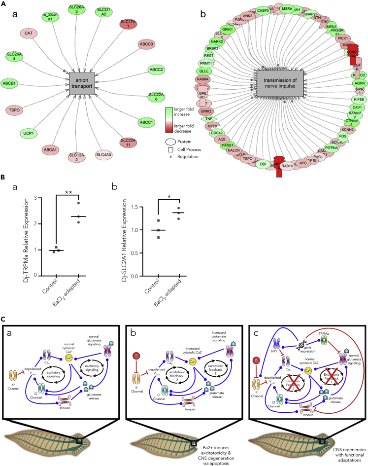 Figure 2