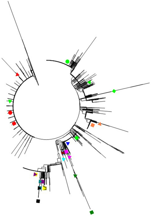 Fig. 3