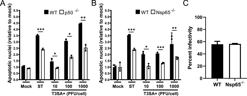 FIG 2