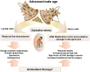 Graphical Abstract