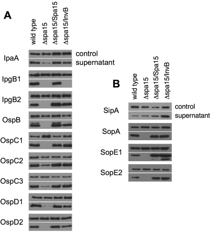 FIG 1 