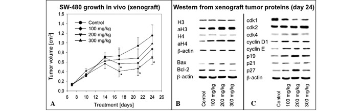 Figure 6.