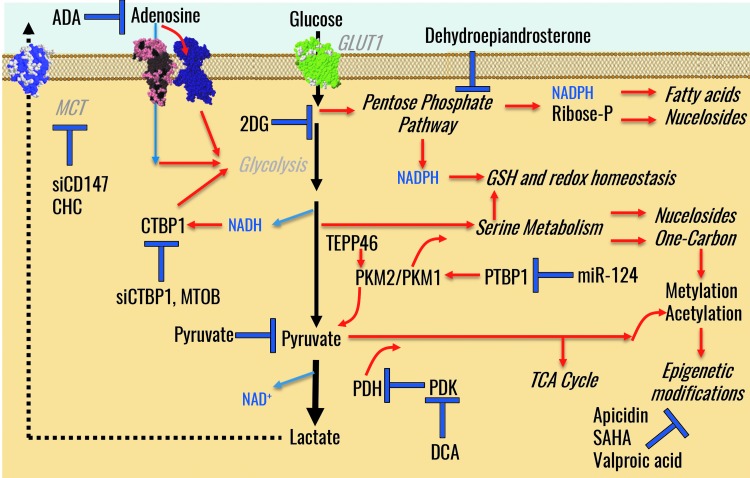 FIG. 8.