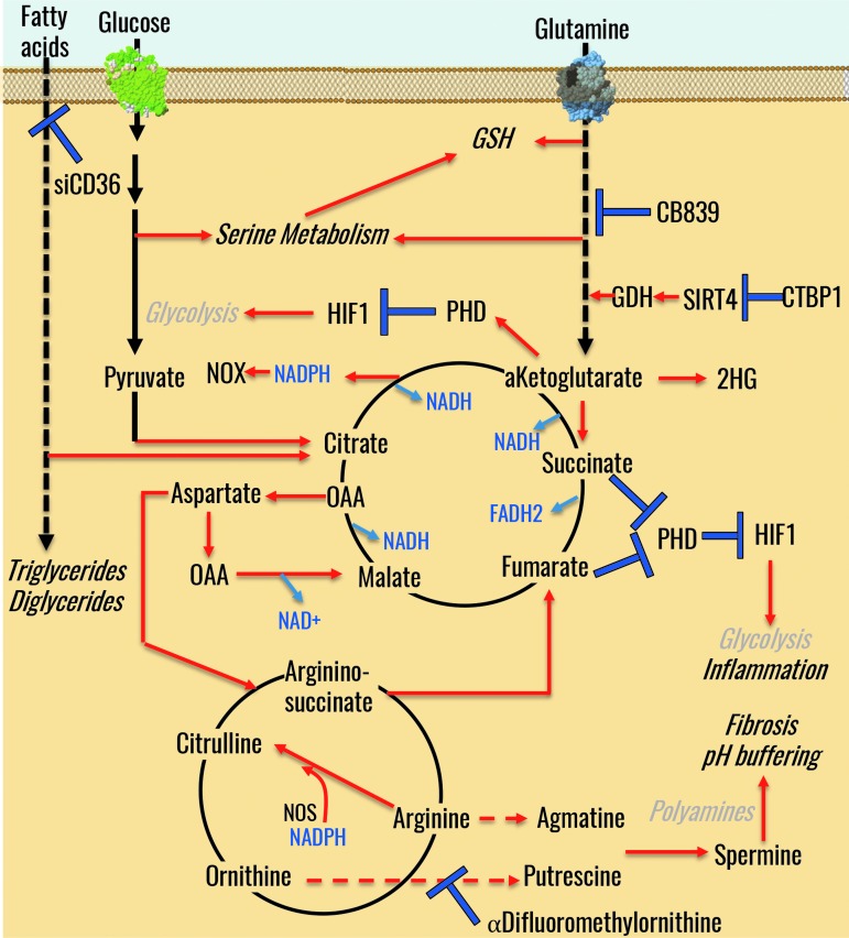 FIG. 7.