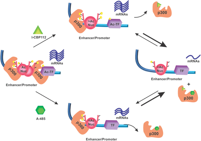 Figure 13: