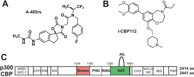 Figure 1: