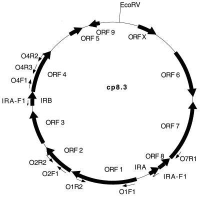 FIG. 1