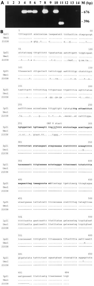 FIG. 6