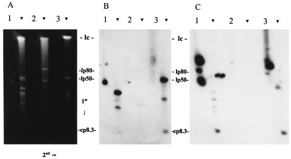 FIG. 4