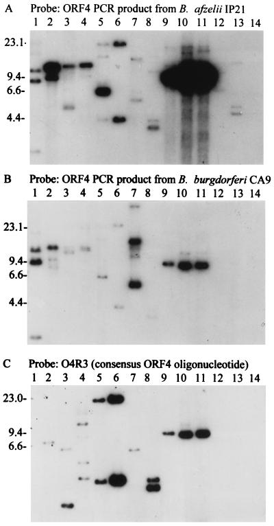 FIG. 3