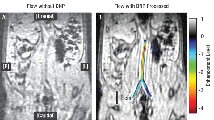 Figure 3: