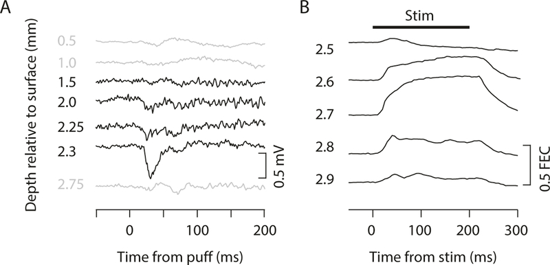 Fig. 7