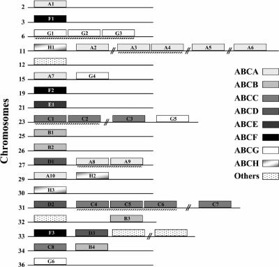 FIG. 2.