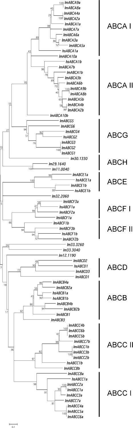 FIG. 1.