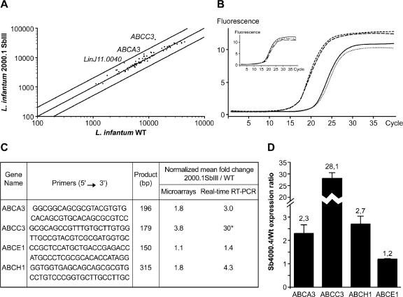 FIG. 6.