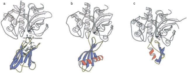 Fig. 2.