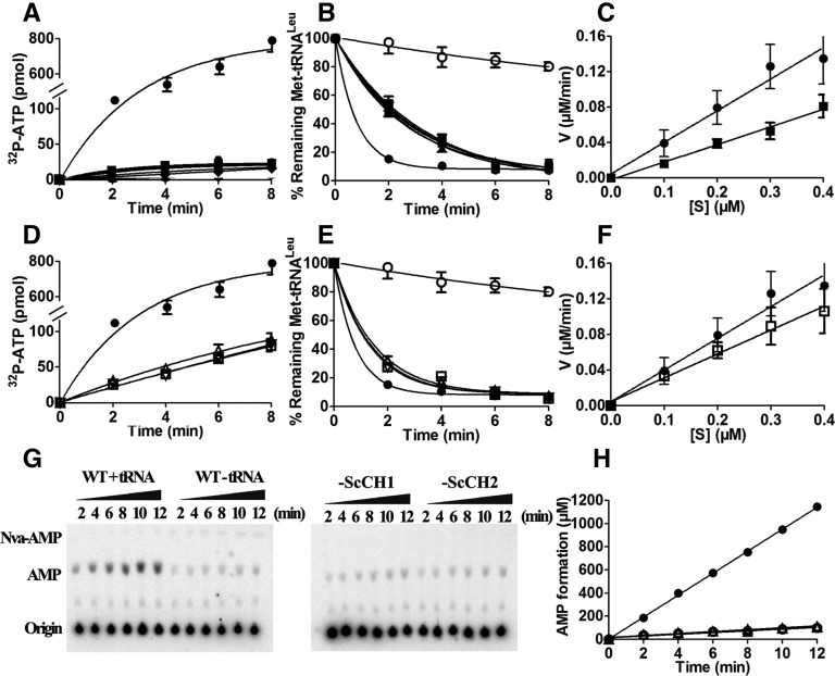 FIGURE 4.