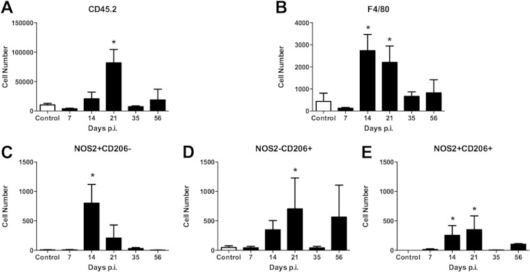 FIG 3