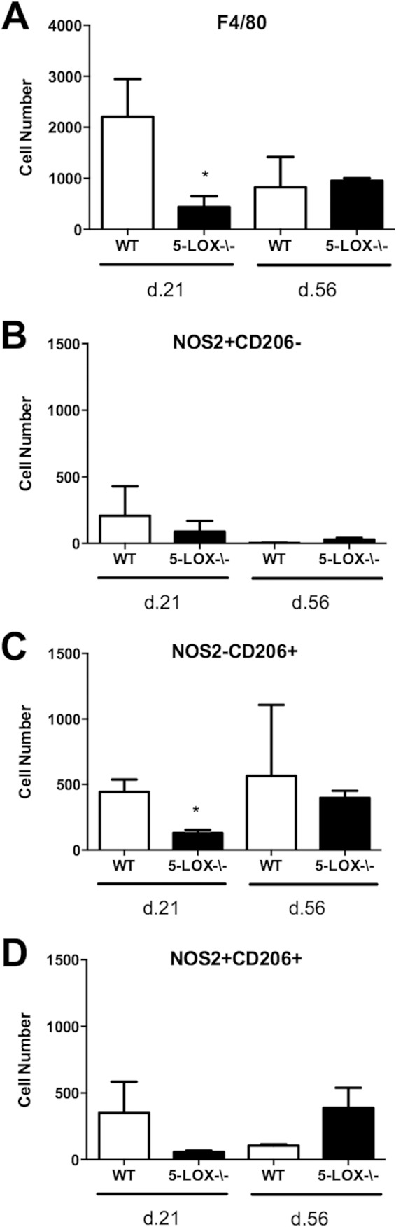 FIG 6