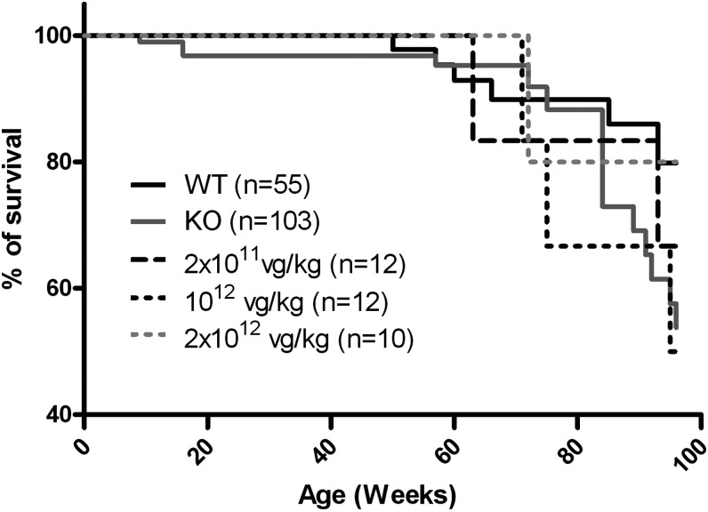 Figure 5.