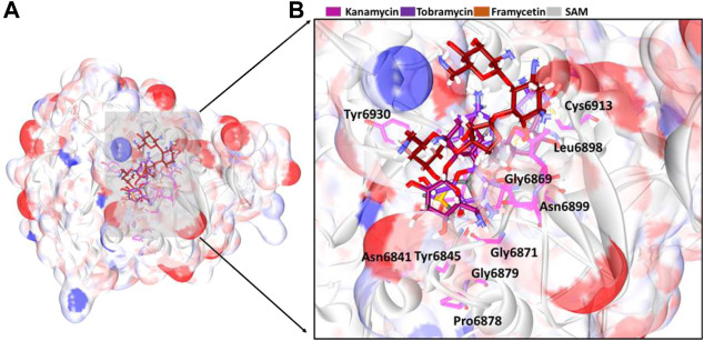 FIGURE 3