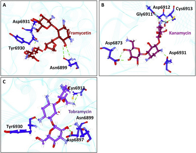 FIGURE 4