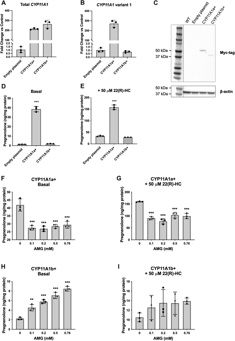 Figure 12