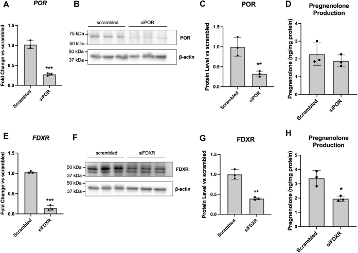 Figure 15