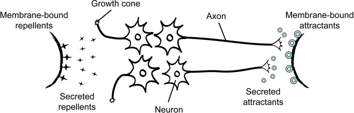 Fig. 3