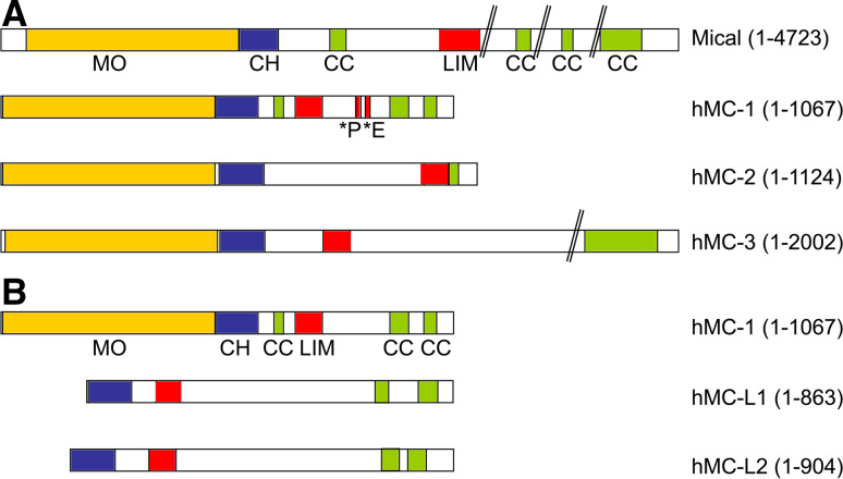 Fig. 1