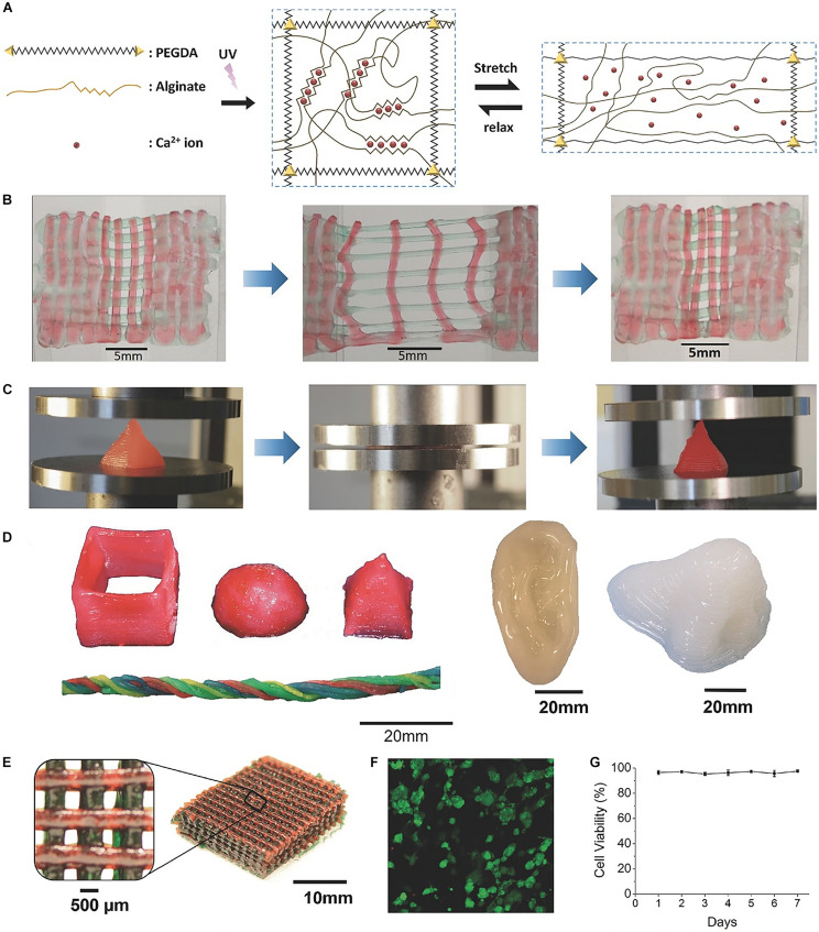 FIGURE 4