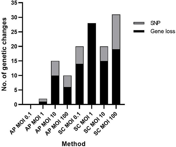 FIGURE 4