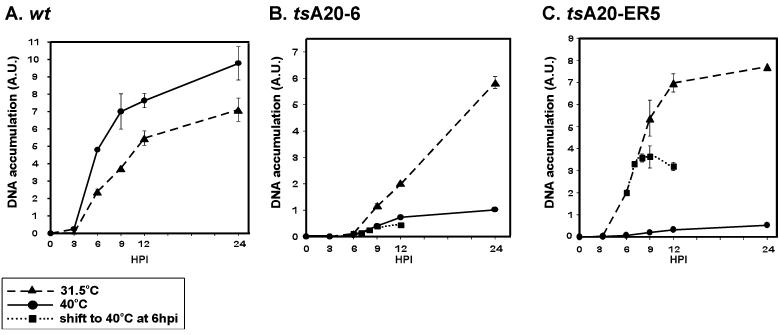 FIG. 5