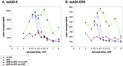 FIG. 6