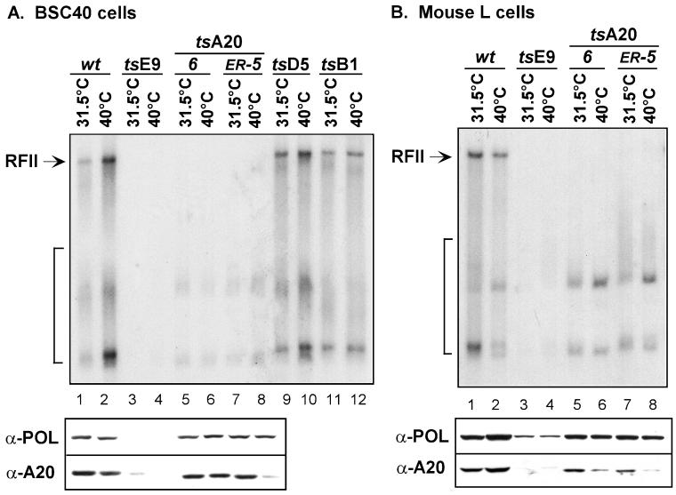 FIG. 8