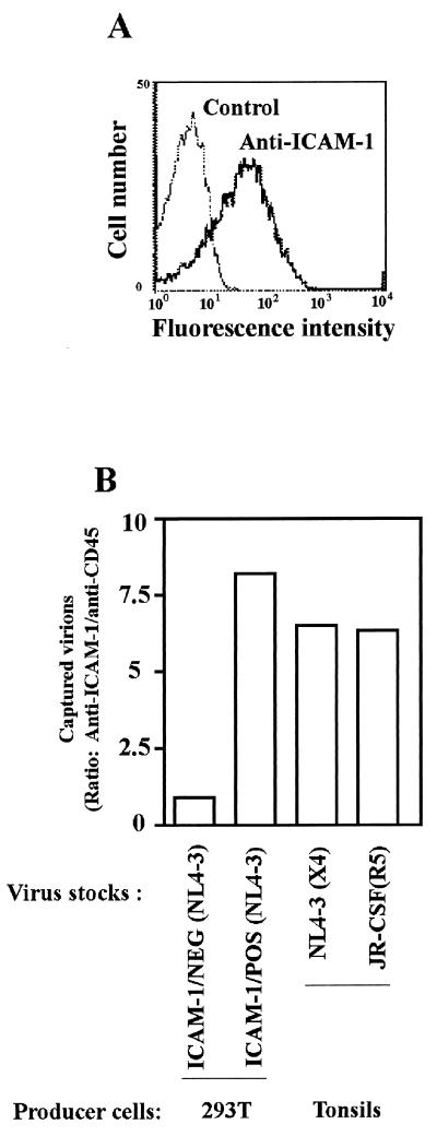 FIG. 7.