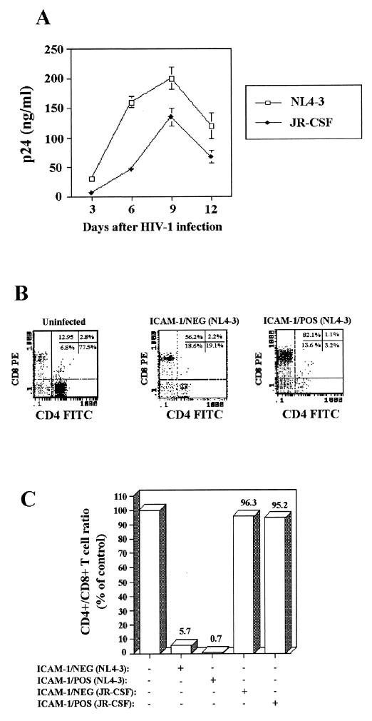 FIG. 5.